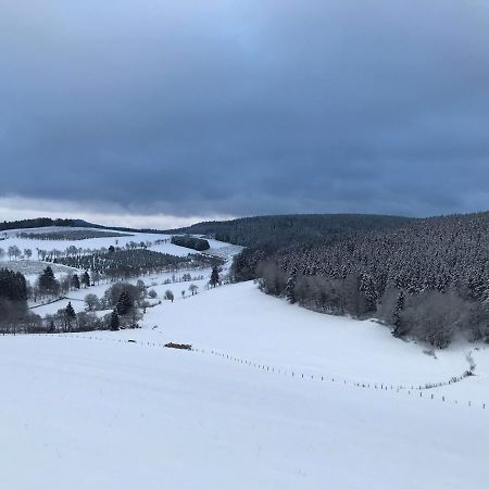 Appartement Familie Willems Winterberg 3 المظهر الخارجي الصورة