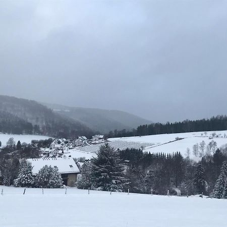 Appartement Familie Willems Winterberg 3 المظهر الخارجي الصورة