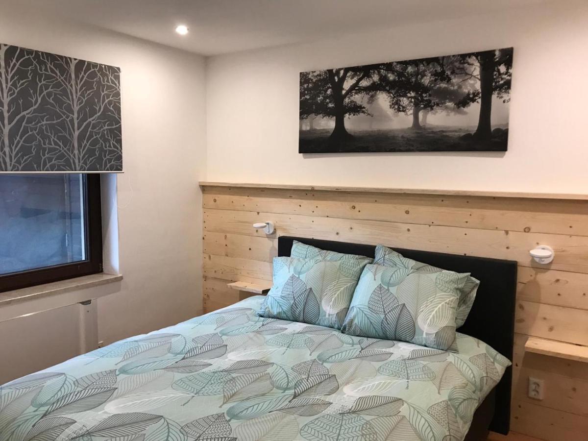 Appartement Familie Willems Winterberg 3 المظهر الخارجي الصورة