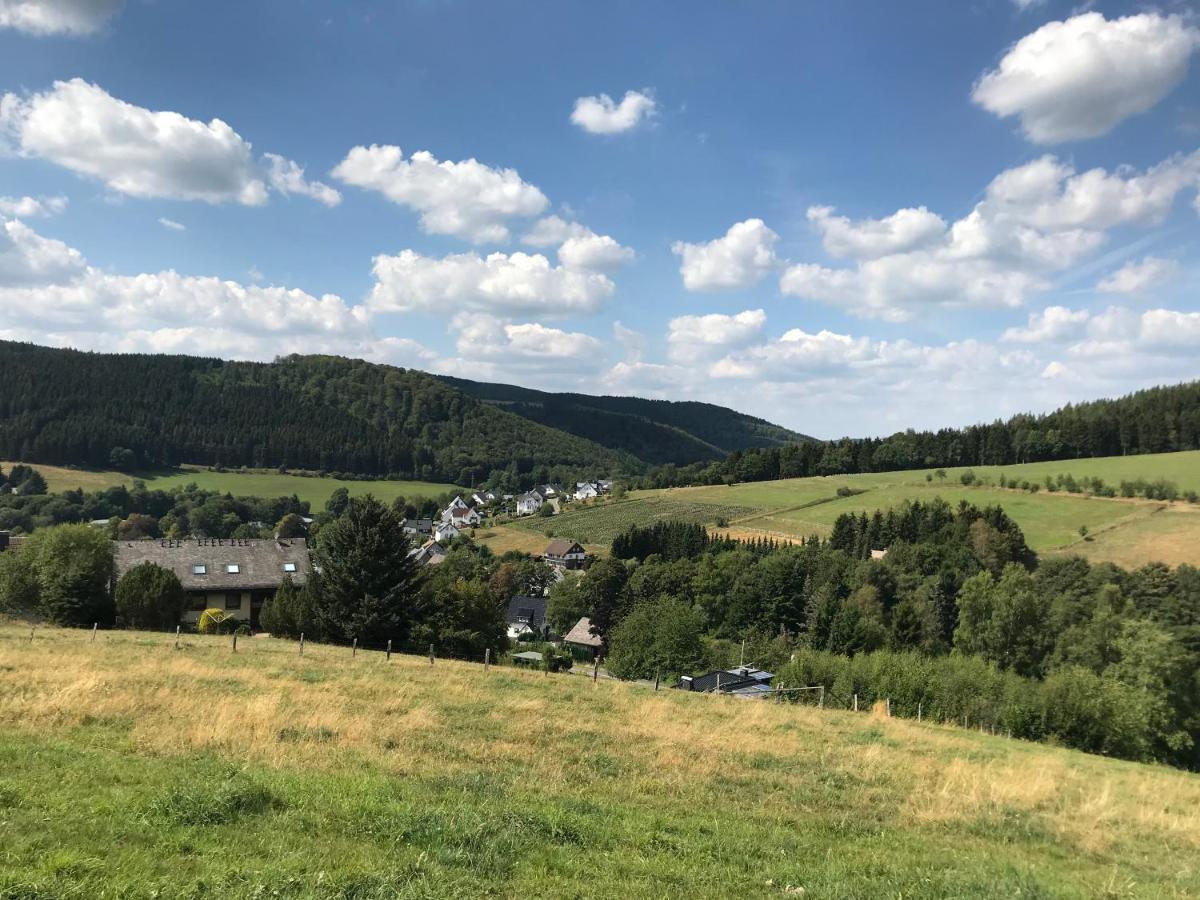 Appartement Familie Willems Winterberg 3 المظهر الخارجي الصورة