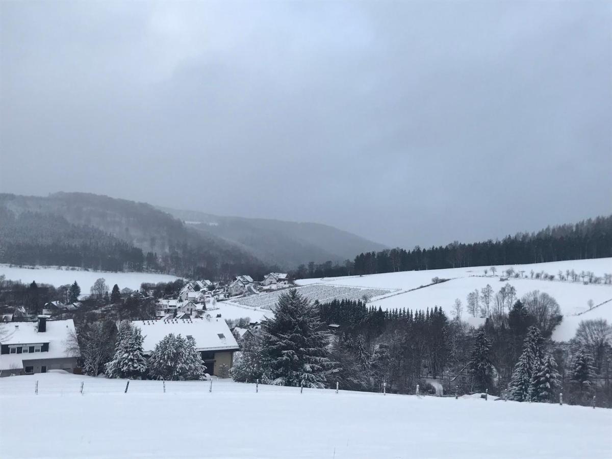 Appartement Familie Willems Winterberg 3 المظهر الخارجي الصورة