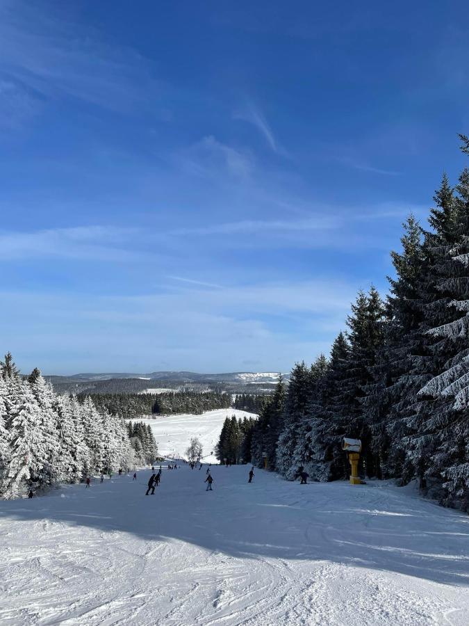 Appartement Familie Willems Winterberg 3 المظهر الخارجي الصورة