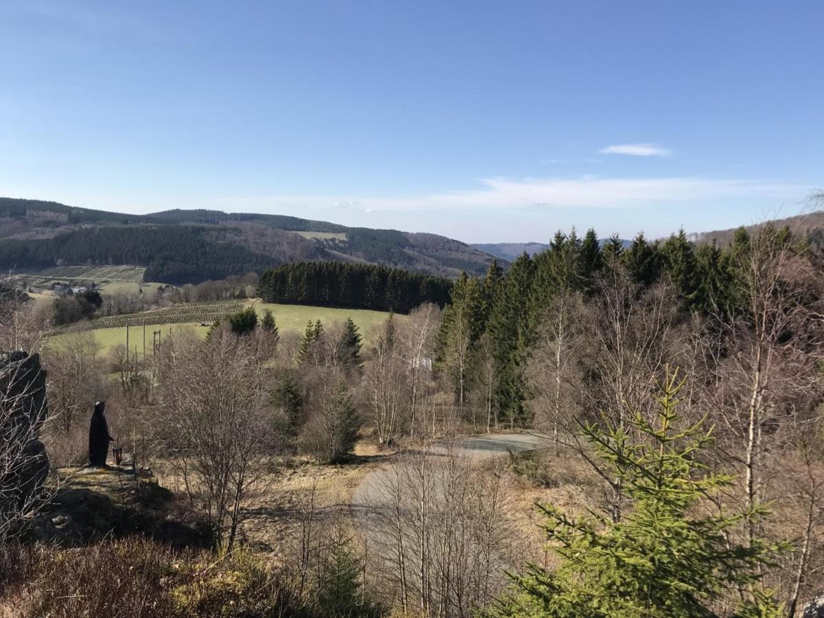 Appartement Familie Willems Winterberg 3 المظهر الخارجي الصورة